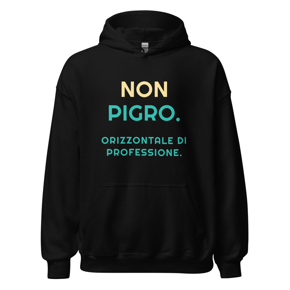 Felpa con cappuccio Non pigro. Orizzontale di professione.