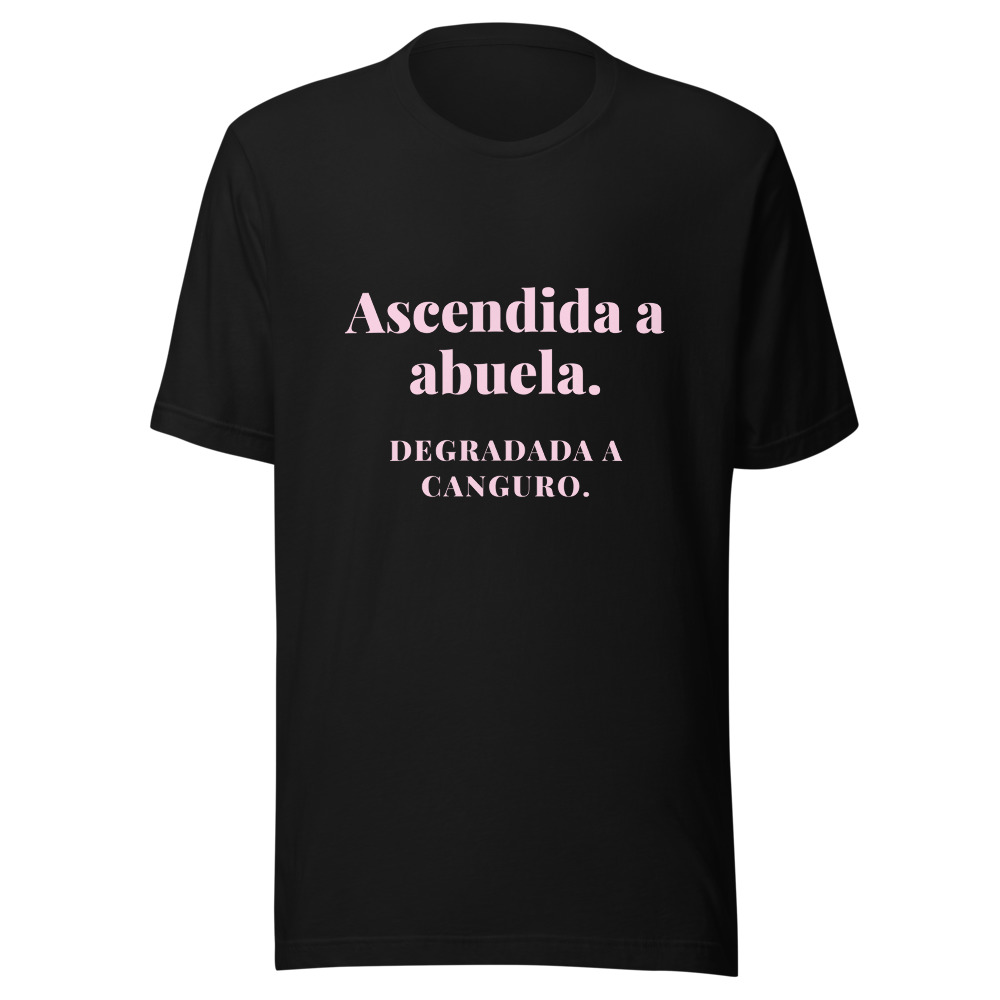 Camiseta Ascendida a abuela, degradada a canguro